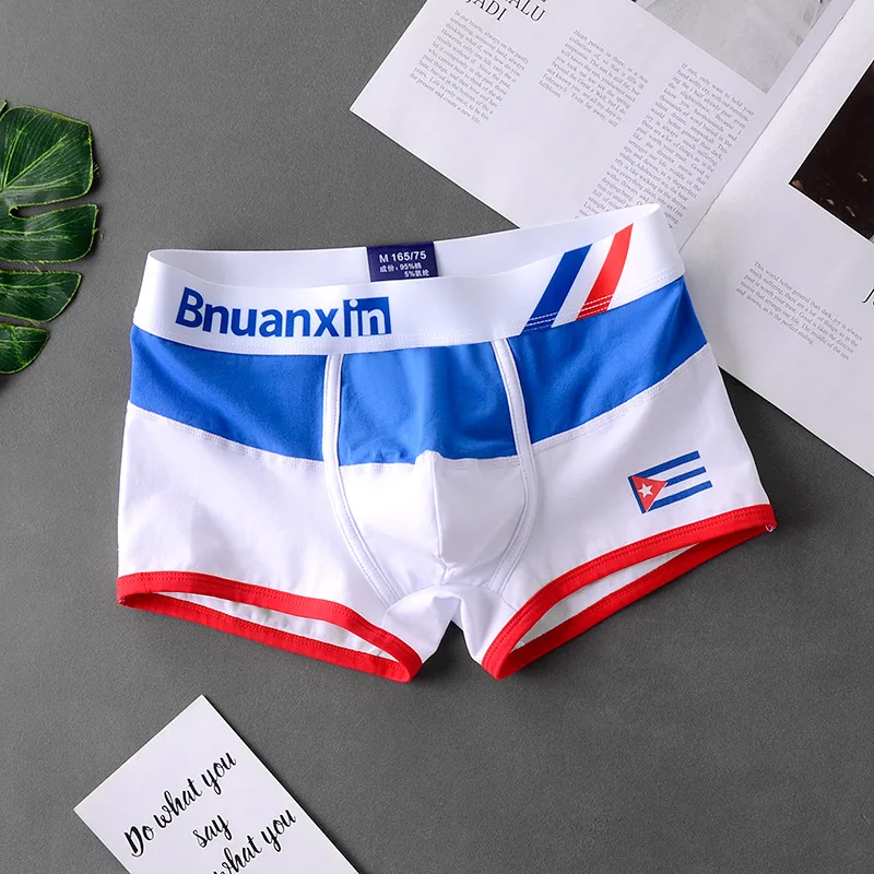 1/3Pcs/Set Trendy Cotton Men\'s Boxer Panties Colours of national flag male boxer shorts men\'s underwear cuecas cazoncillos