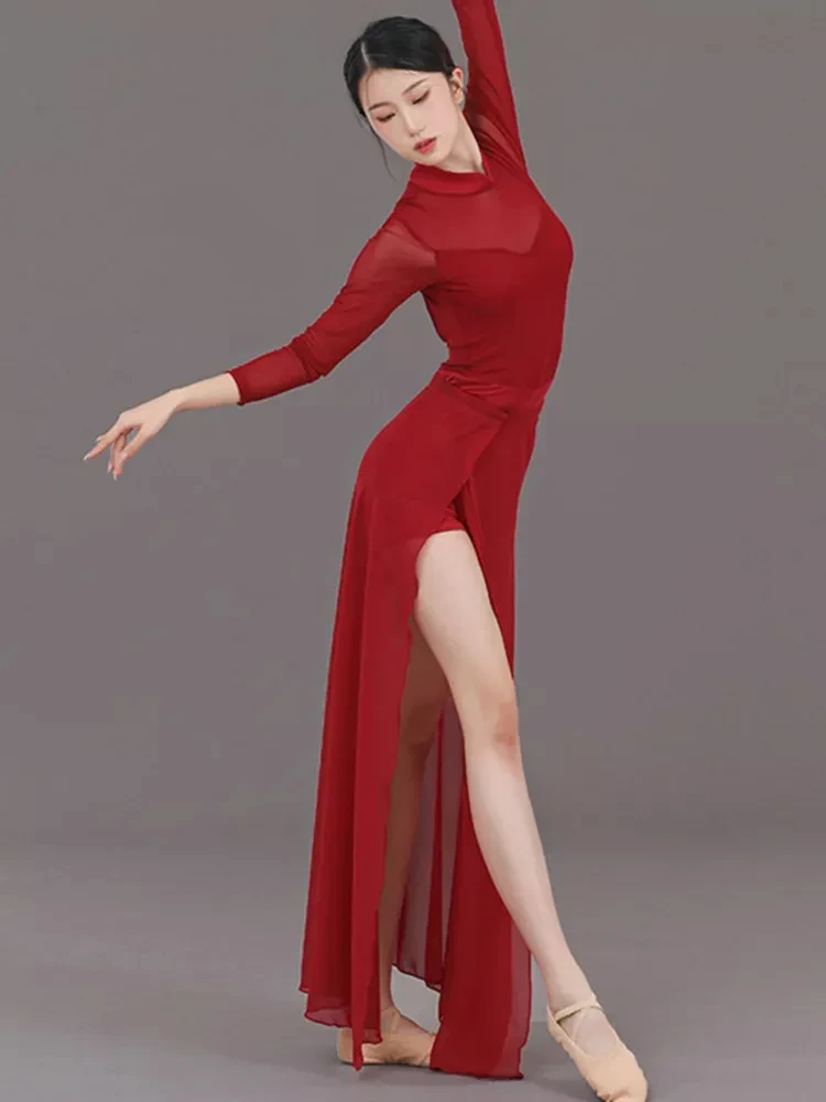 بلون خط ملابس الرقص زي المرأة اللاتينية شبكة المرقعة فستان حديث আবৃত্তি الكلاسيكية شيونغسام E4425