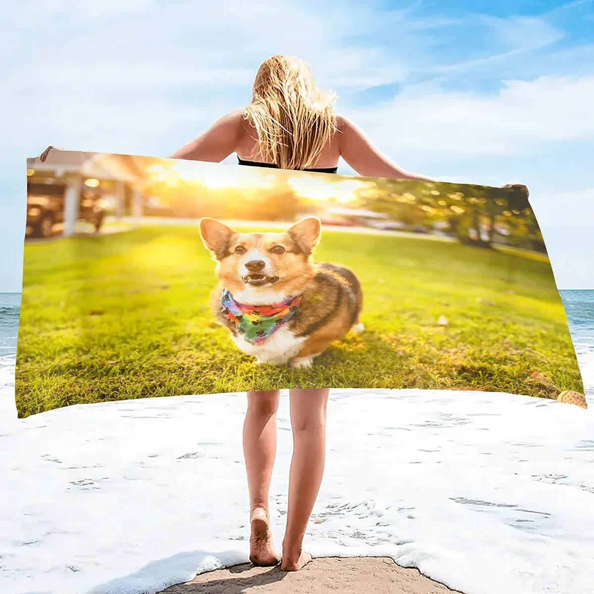 Cute Corgi Beach To…