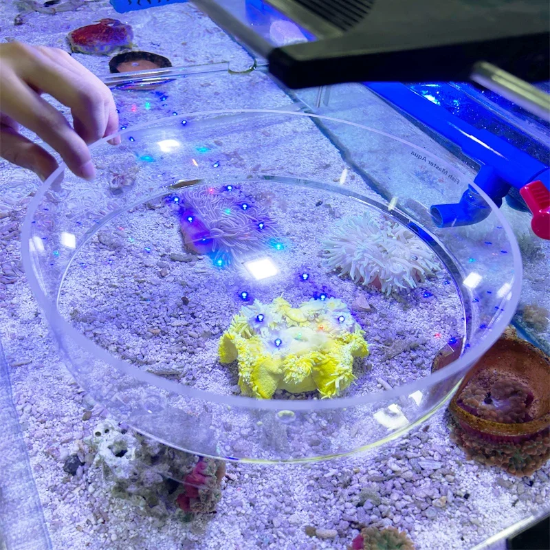 Acuario tanque de mar acrílico coral espejo de observación agua de mar pecera foto subacuática coral vidrio de ampliación antiinterferencias