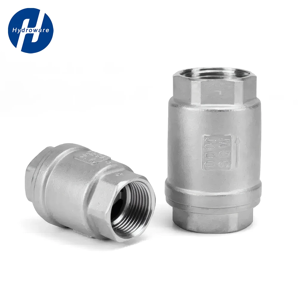 SS304/316L Stainless Steel Vertical Check Valve | BSP Threaded One-Way Valve | High-Pressure Anti-Backflow for Fluid Systems