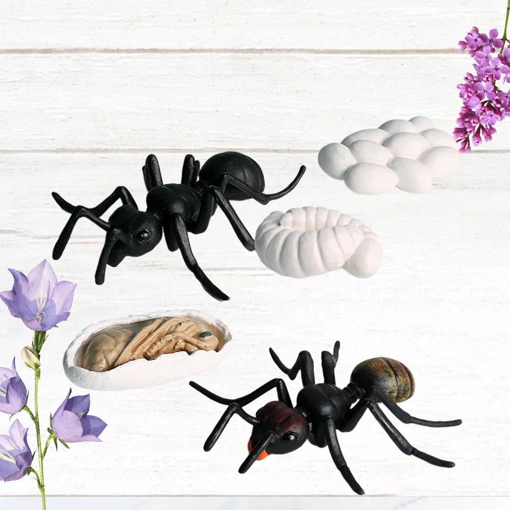 

5 PCS Remote Control Spider Simulation Animal Insect Ant Decor Black Kids Toy Man