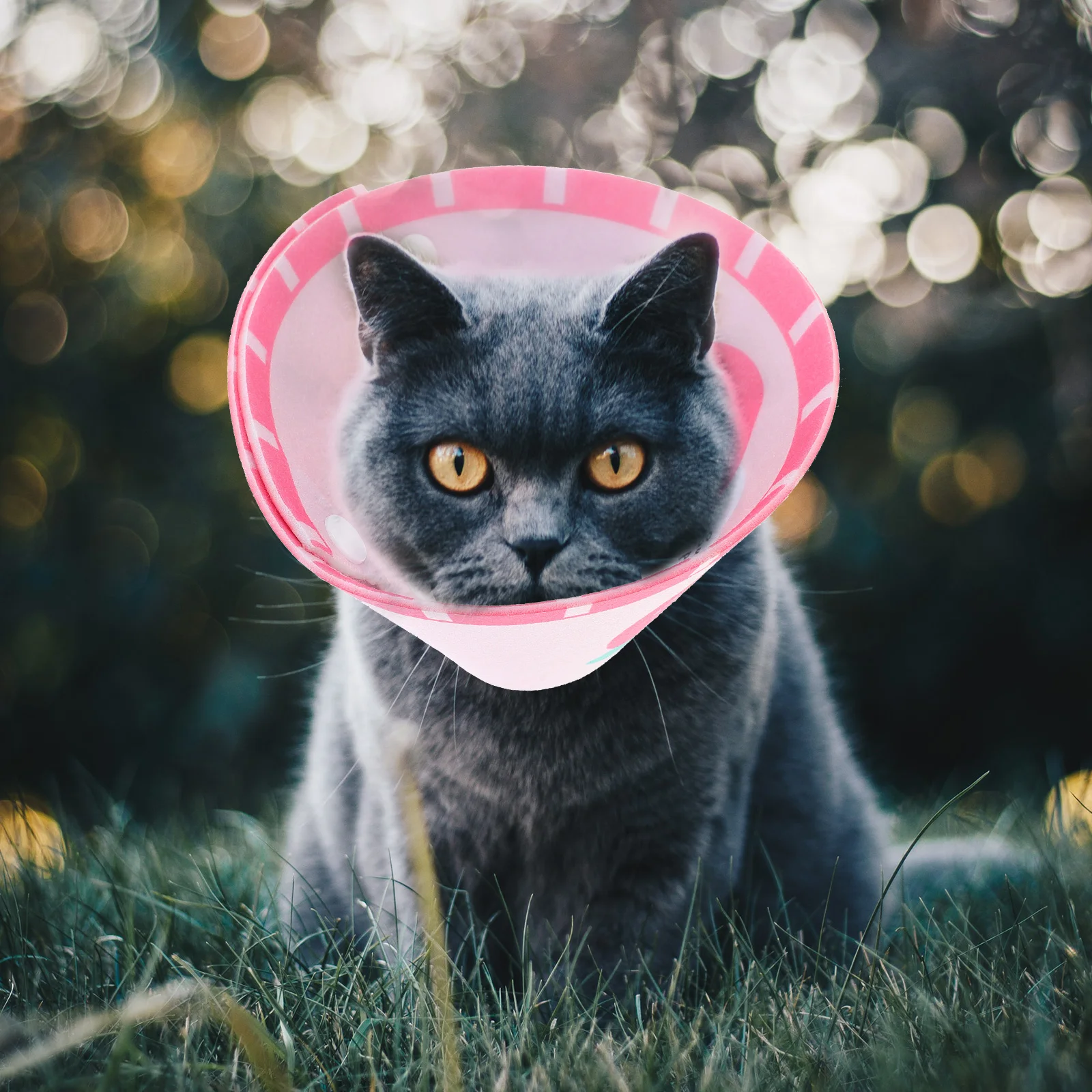 

Felt Cat Collar Adjustable Durable Post Surgery Pet Neck Circle Anti Lick Recovery Inflatable Safe Unique Decorative Pet