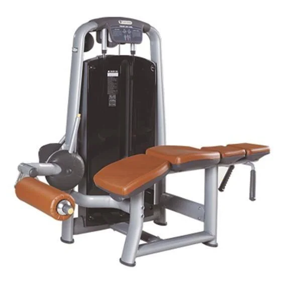 

High Quality Strength Pin Loaded Commercial Fitness Equipment Prone Leg Curl Machine for Gym