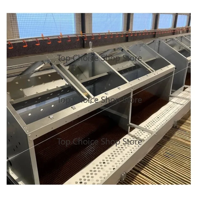 2023 New Arrival Automatic Egg Laying Hen Nest for Farm Poultry Chicken Nest Collection Box for Sale