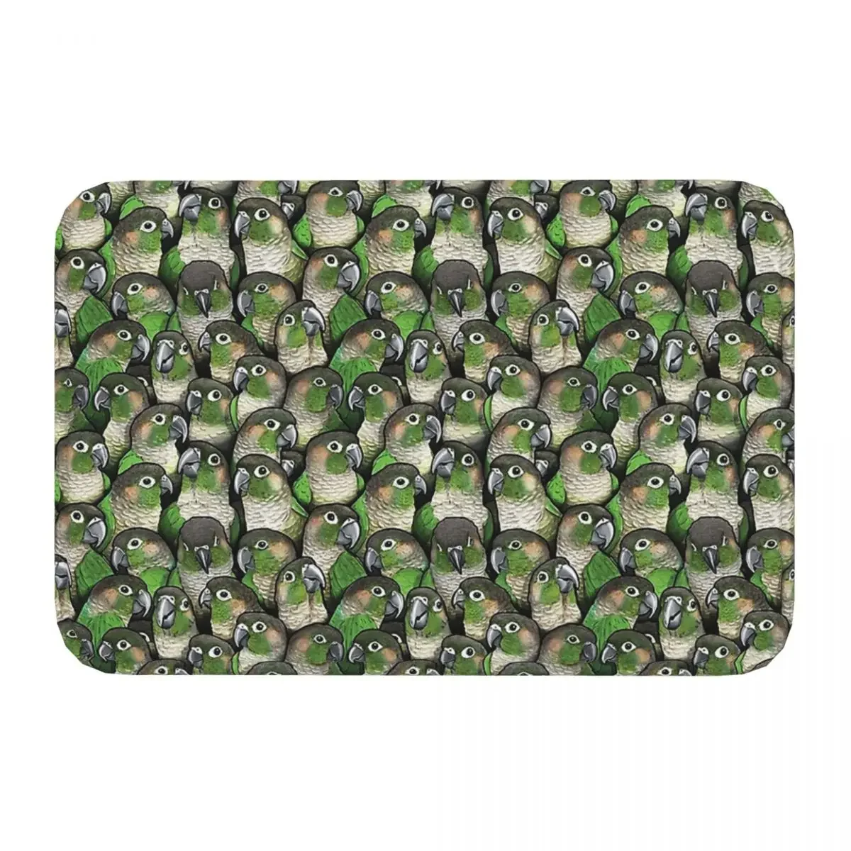 Non-slip Doormat Green-cheeked Conures Carpet Bath Bedroom Mat Outdoor Flannel Decorative