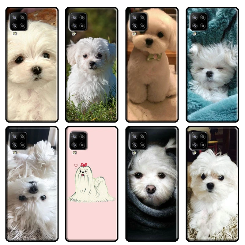 Maltese Dog Puppy Cute For Samsung Galaxy A20e A21S A50 A70 A72 A51 A71 A52 A02S A12 A42 A31 A41 A42 Phone Case