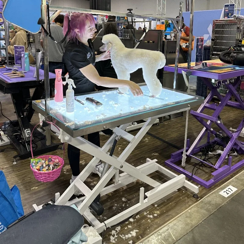 Pet Grooming Teaching Demonstration Table LED Lighting Factory Price Electric Lifting Foldable Table