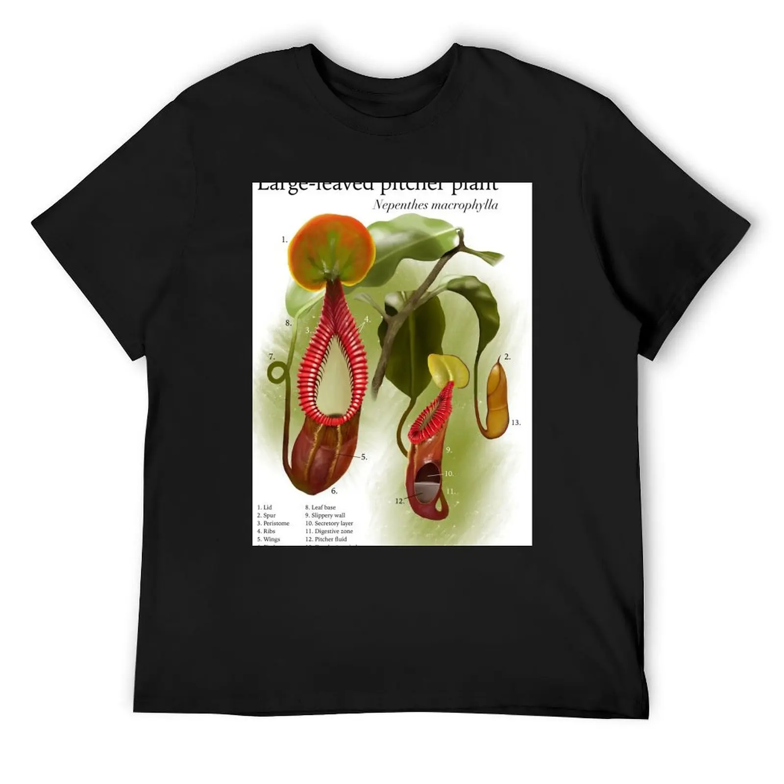 

Nepenthes macrophylla T-Shirt Louboutins Short sleeve tee korean fashion Aesthetic clothing vintage t shirt men