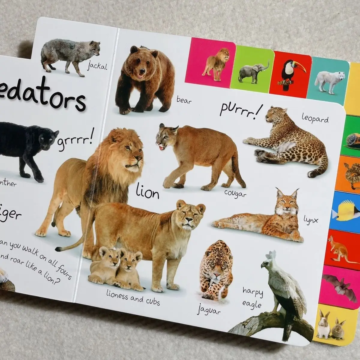 

Children's Special Pattern Cardboard Book - Interactive Fun Book for Parents and Children