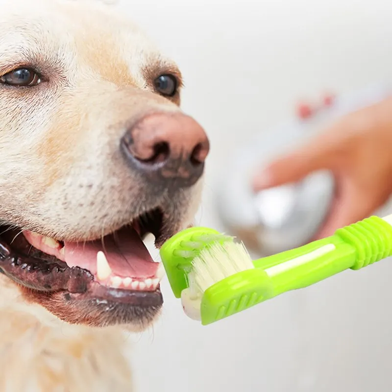 Spazzolino da denti per animali domestici Pulizia del cane Spazzolino da denti per bocca Multiangolo a tre lati Pulizia dei denti del tartaro