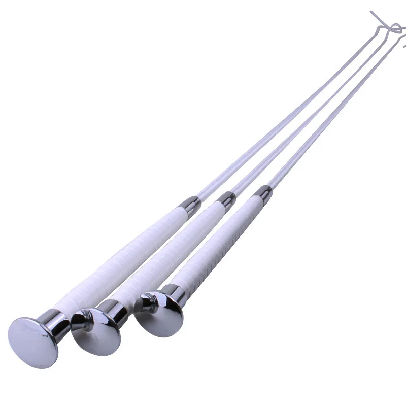 

Horse Whip Whip Dressage Dance Adjusting White