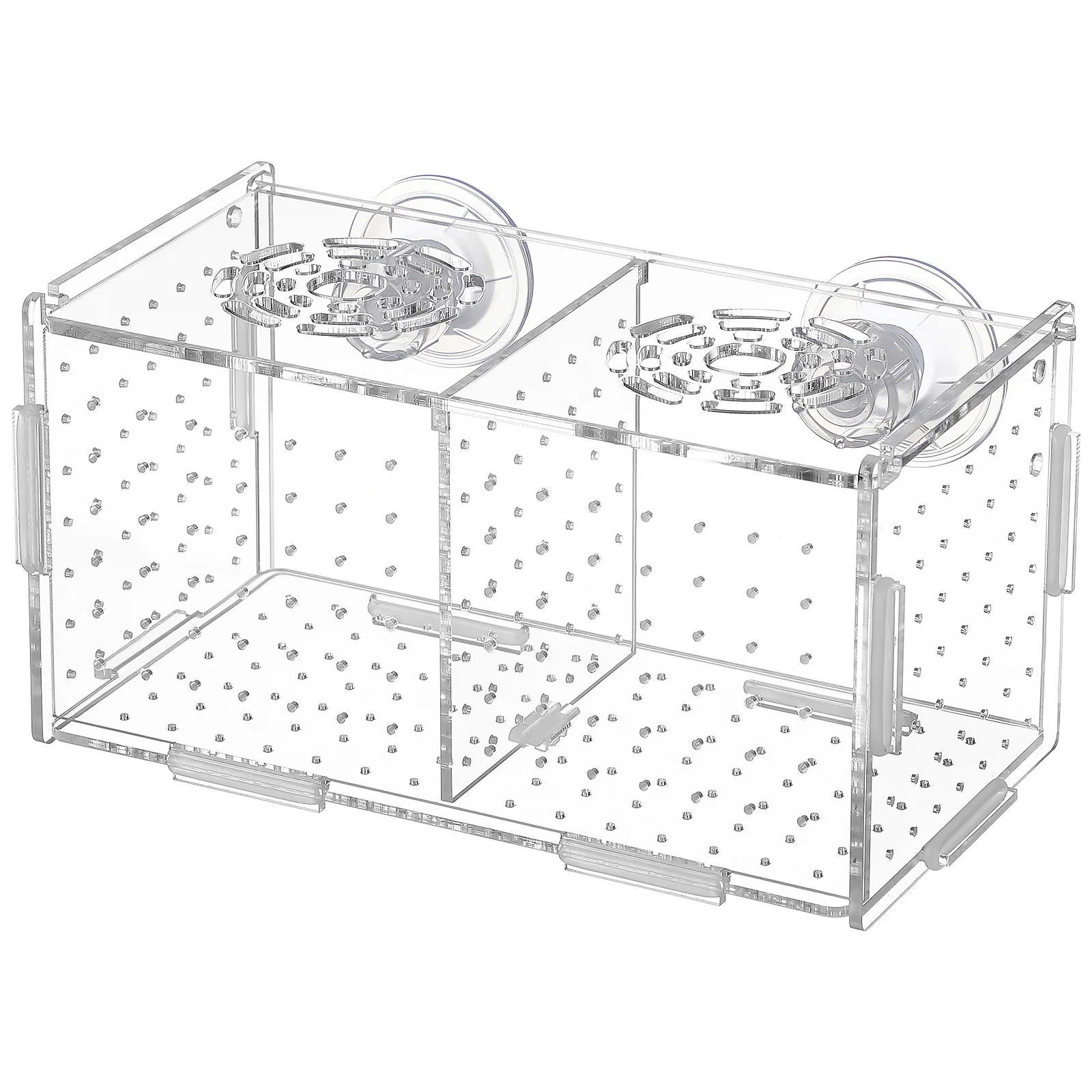 Aquarium Breeding Box Tank Isolation Hatchery Hanging Incubator for Shrimp Clownfish ( with Suction Cups )