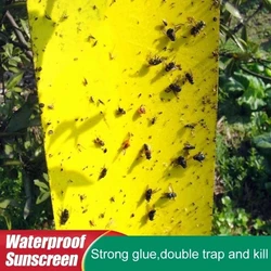 5-20pcs Strong Fruit Fly Traps Bugs yellow Sticky Board pest control insect killer Two-sided glue paper trap for kill pests