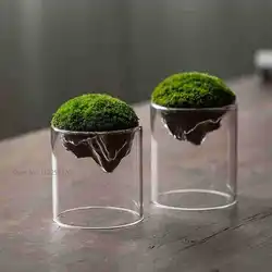 Creative Mountain Shaped Moss Glass Bottle Moss Vase Hydroponic Fleshy Micro Landscape Glass Terrarium Bonsai Home Decor