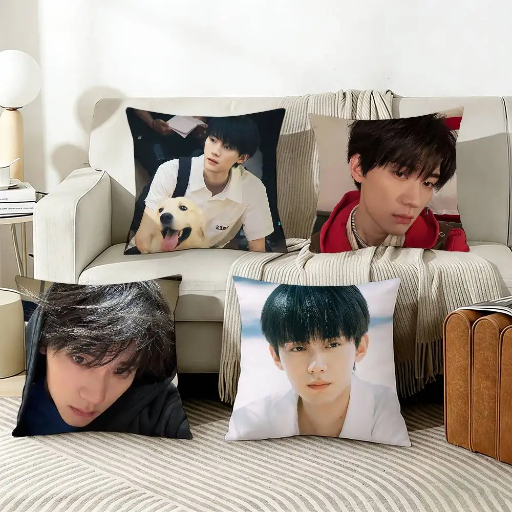 

Zhou Yiran Zhang Lurang When I Fly Towards You Pillow Cover Sofa Cushion Cover Home Room Decoration Children Gift
