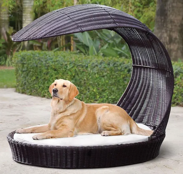 

Outdoor Patio Large Pet Furniture Canopy Design Wicker Rattan Dog Bed