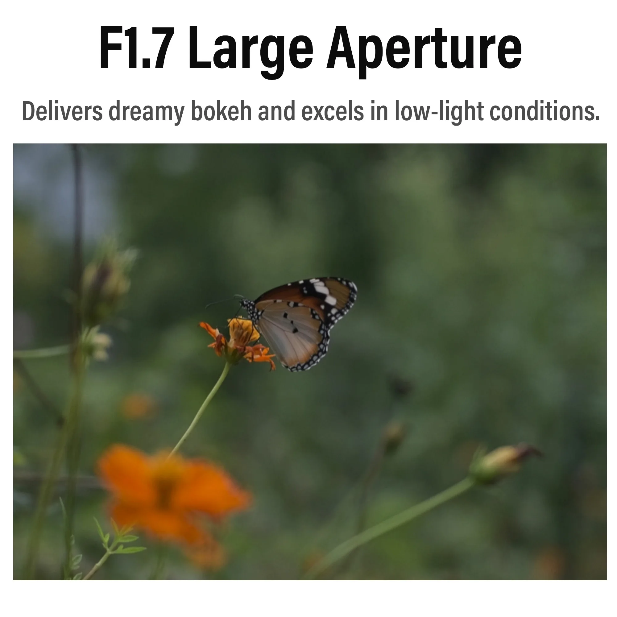 Viltrox AF 25mm F1.7 Camera Lens APS-C Large Aperture Autofocus Lens for Nikon Z Fujifilm X Sony E Mount Lens ZVE10 a6400 a6700