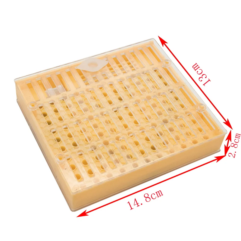 1SET Queen Bee Rearing System Kit Plastic Cell Cage Protection Cover Base Box Cup Queens Beekeeping Bees Apiculture Supplies