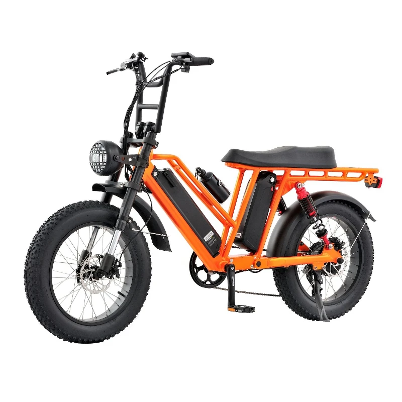 

Snow electric bike, off-road mountain beach Harley electric