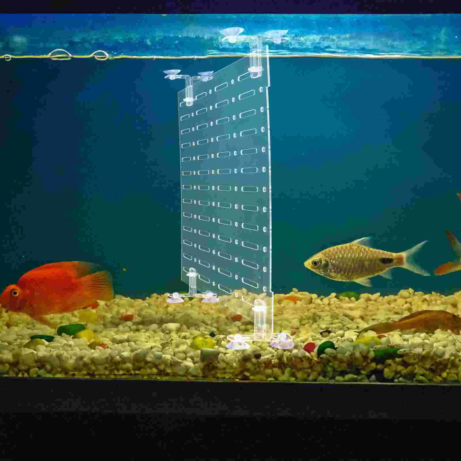 

1 Set Acrylic Fish Tank Divider Premium Isolation Board for Mixed Breeding Aquarium Partition Aquarium Accessories Pet Supplies