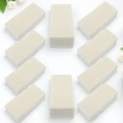 

10 Pcs High Density Flower Mud Dried Floral Arrangement Dry Foam Blocks White Wet Sponge Bricks Gardening Supplies