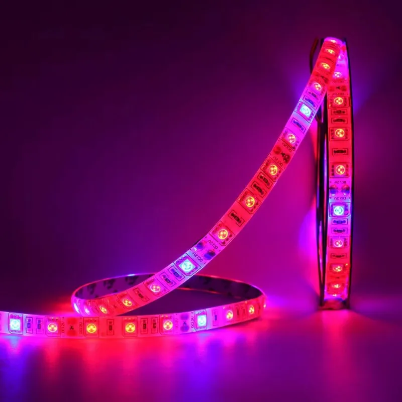 5M 12V 5050 LED Strip Phyto Plant Grow Lamps Full Spectrum 60LEDs/m Fitolampy Grow Lights For Greenhouse Hydroponic plant