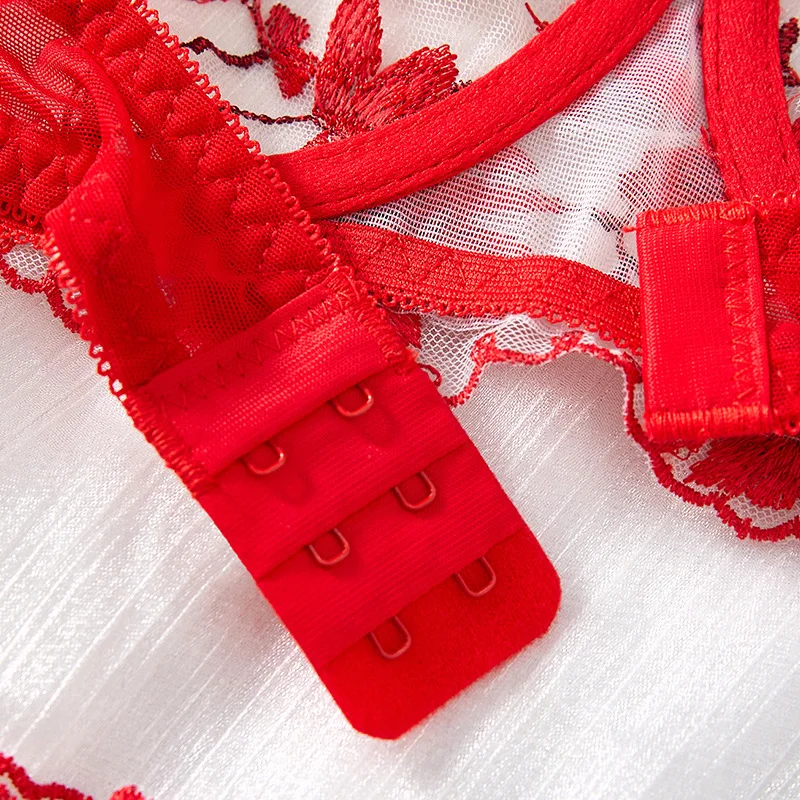 Nuovo reggiseno sexy in pizzo trasparente ultra sottile con ricami rossi, set di lingerie erotica trasparente.