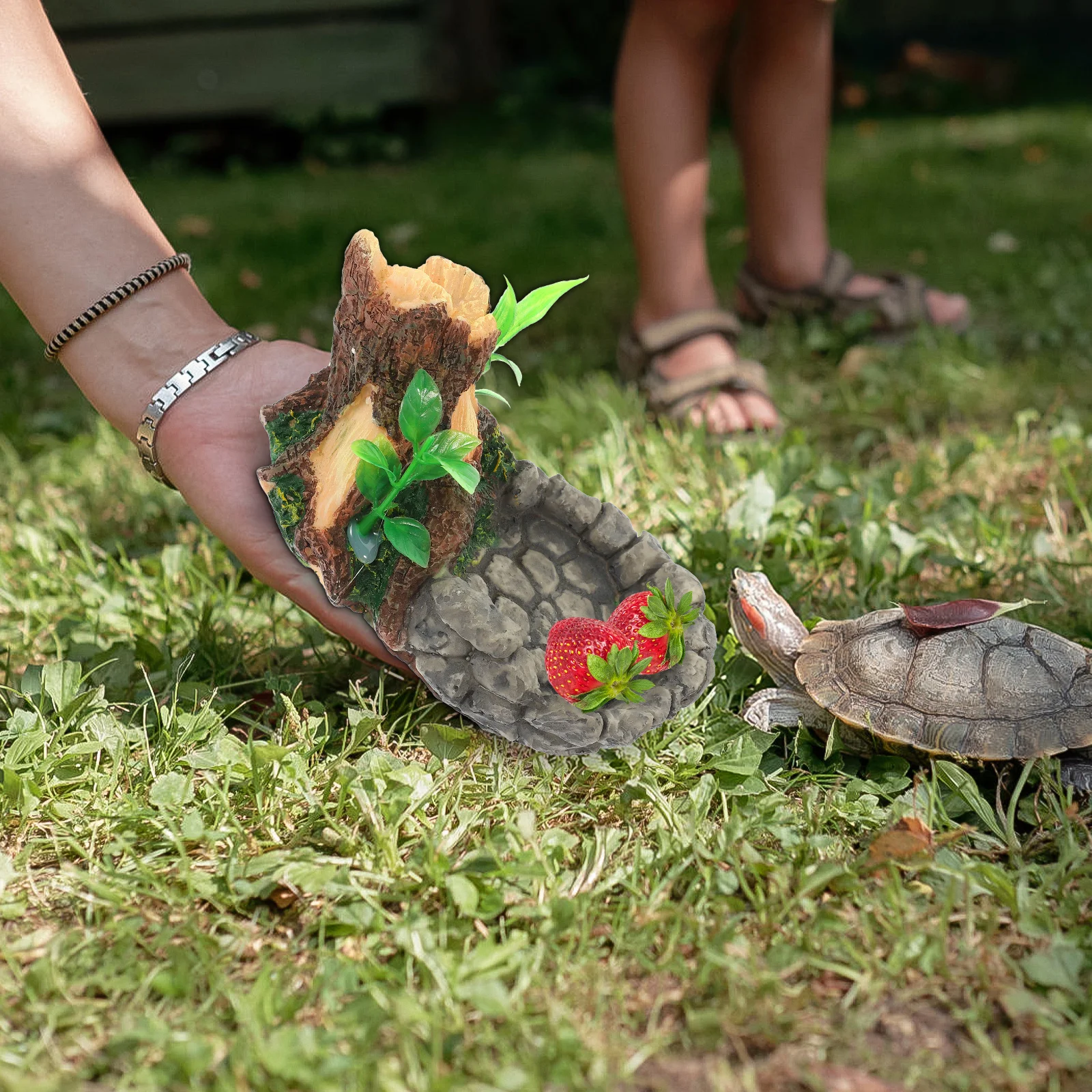 

Reptile Food Basin Resin Rock Style Indoor Feeding Bowl Water Holder Terrarium Supplies Snake Lizard Tortoise Feeder