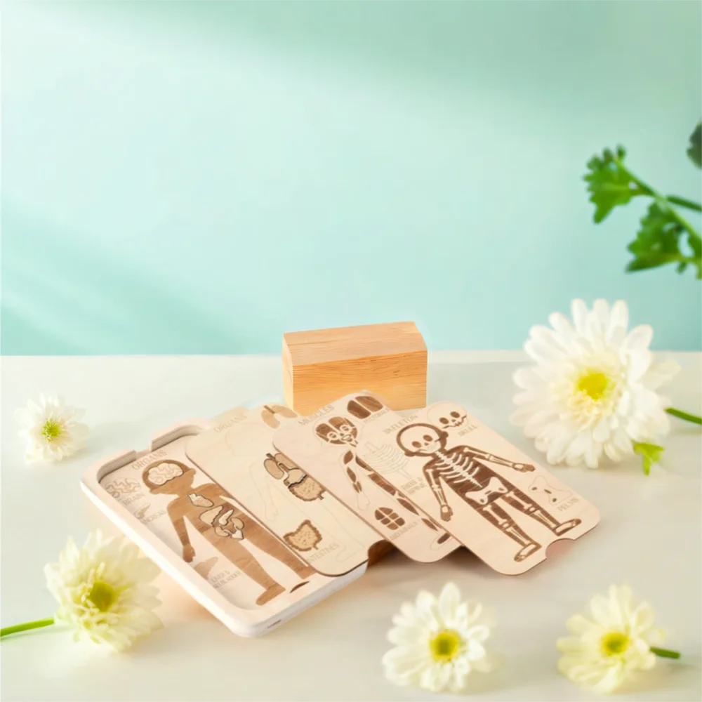 

Jigsaw Design Montessori Jigsaw Puzzle Human Structure Organ Model Anatomy Organ Puzzle Learning Educational Human Structure