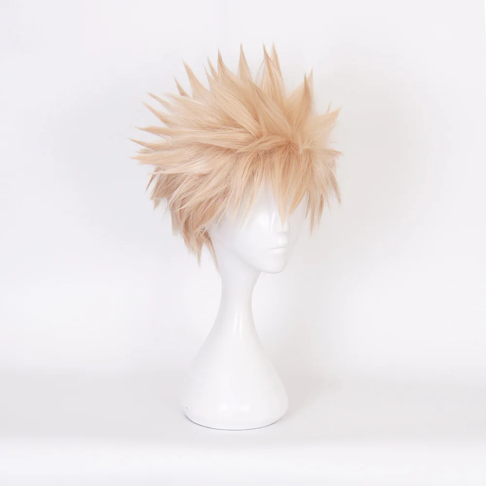 My Hero Academia, Shoto Todoroki, Shoto Cosplay Perücke, Rosennetz Hochtemperaturseide