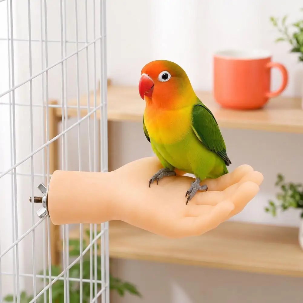 Hand-Shaped Parrot Perch Parrot Stand with Screw Fastener Bird Cage Perch Desensitization Interactive Bird Training Toy