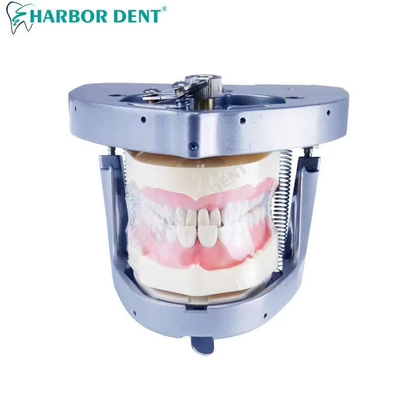 Dental Oral Simulator Teaching Training System Installed Pillow Dentistry Training Manikin Phantom Head For Dentist Education