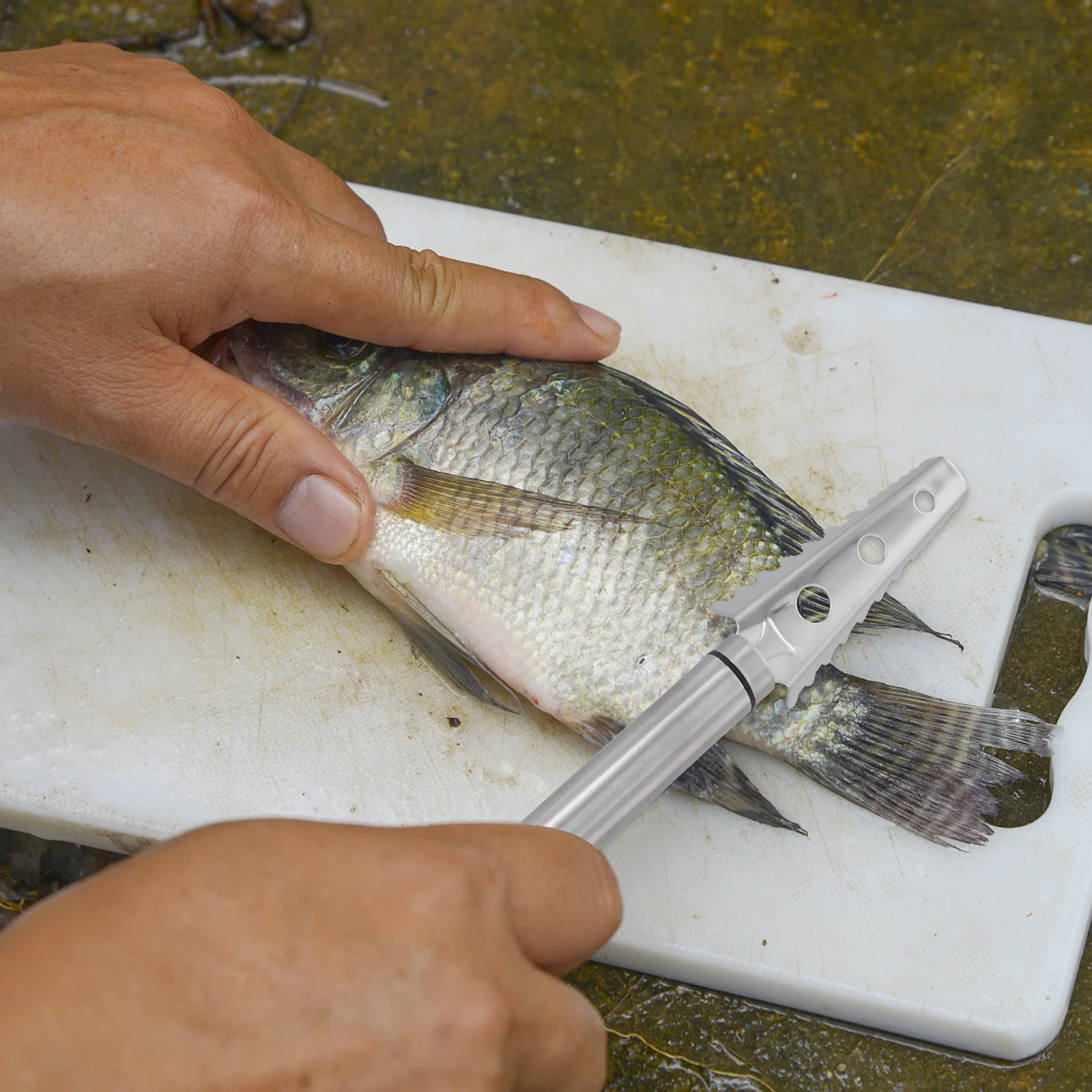 

2Pcs Fish Scale Scrapers High Quality for Home Picnic Restaurant Fish Scale Remover Easy Grip Kitchen Gadget Cleaner