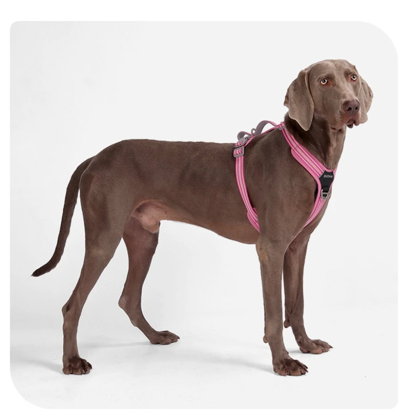 

Easy On/Off No-Pull Dog Harness, Quick Release Buckle & Dual Handle, Reflective Adjustable Vest for Walking and Car Safety
