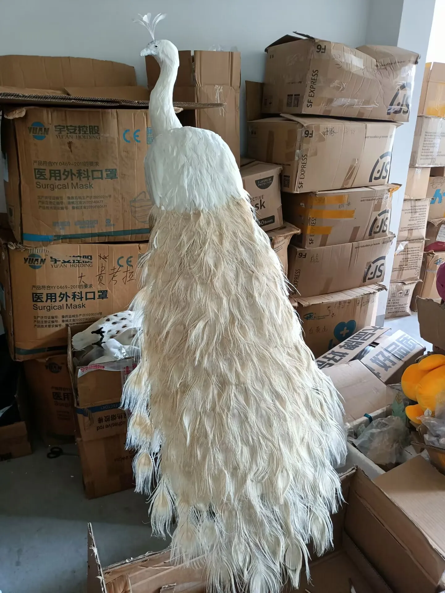 white beautiful peacock model foam&feather long tail real life peacock bird gift about 150cm d0541