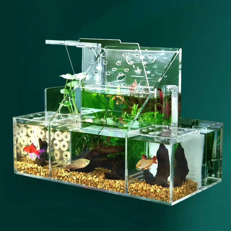 Ecological fighting fish tank guppy hatching special isolation box circulating water filtration creative tank