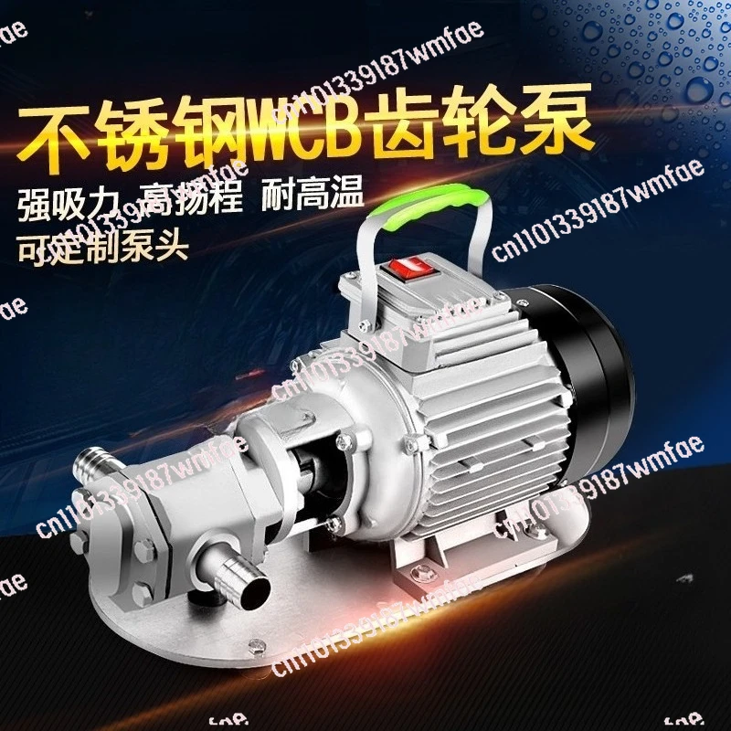 Gear Electric Transfer Pump 220V 380V Self Priming Stainless Steel High Viscosity Explosion Proof
