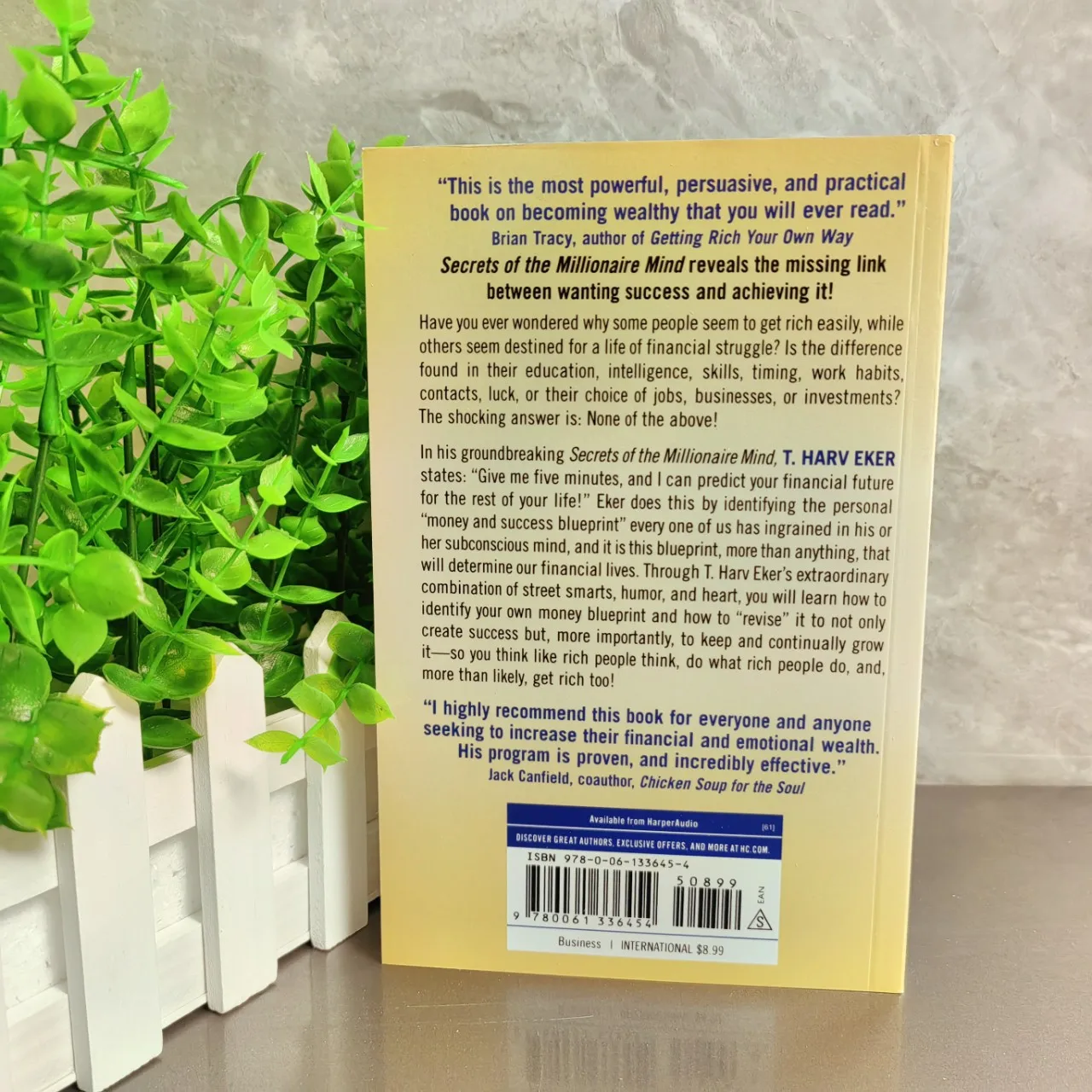 Bview Art Millionaire Mind Secrets: Master Wealth Mindset by T. Harv Eker | Finance Book