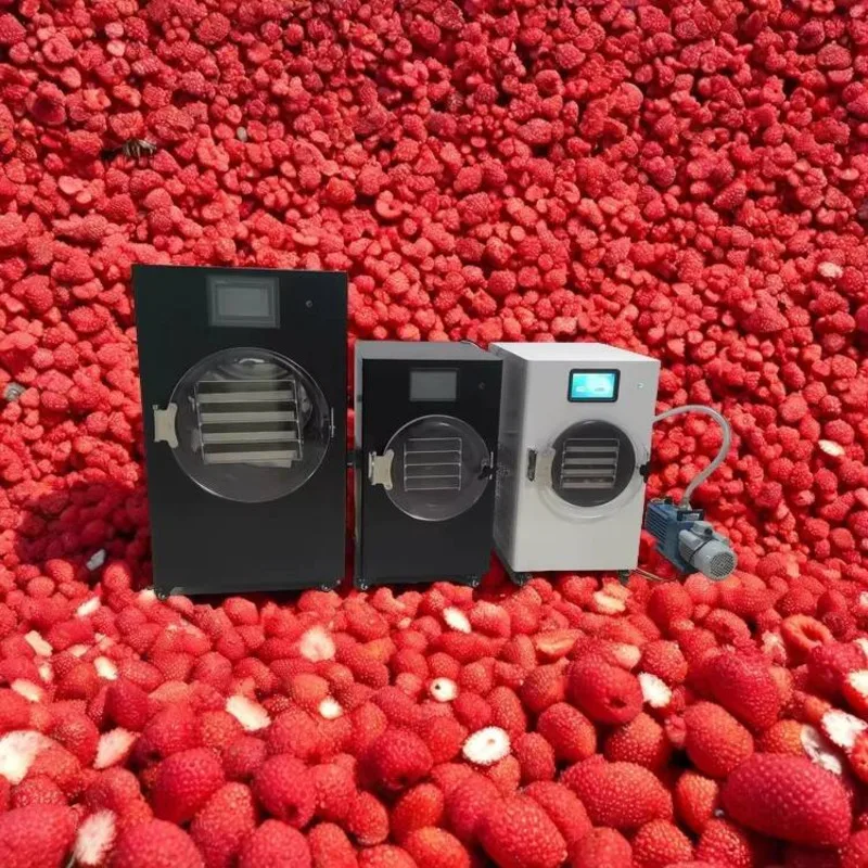 

3Kg 4Kg 6Kg 10Kg Fruit Liofilizador Machine Small Mini Laboratory Vacuum Home Food Freeze Drying Dryer Equipment