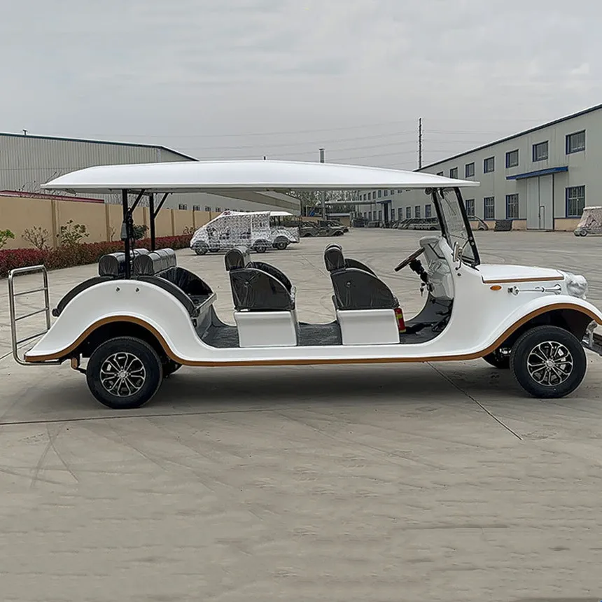 Golf Cart 7 Seater Lithium battery Classic Sightseeing Vintage Car CityTour Charging input voltage 110V Retro Classic Car Mini