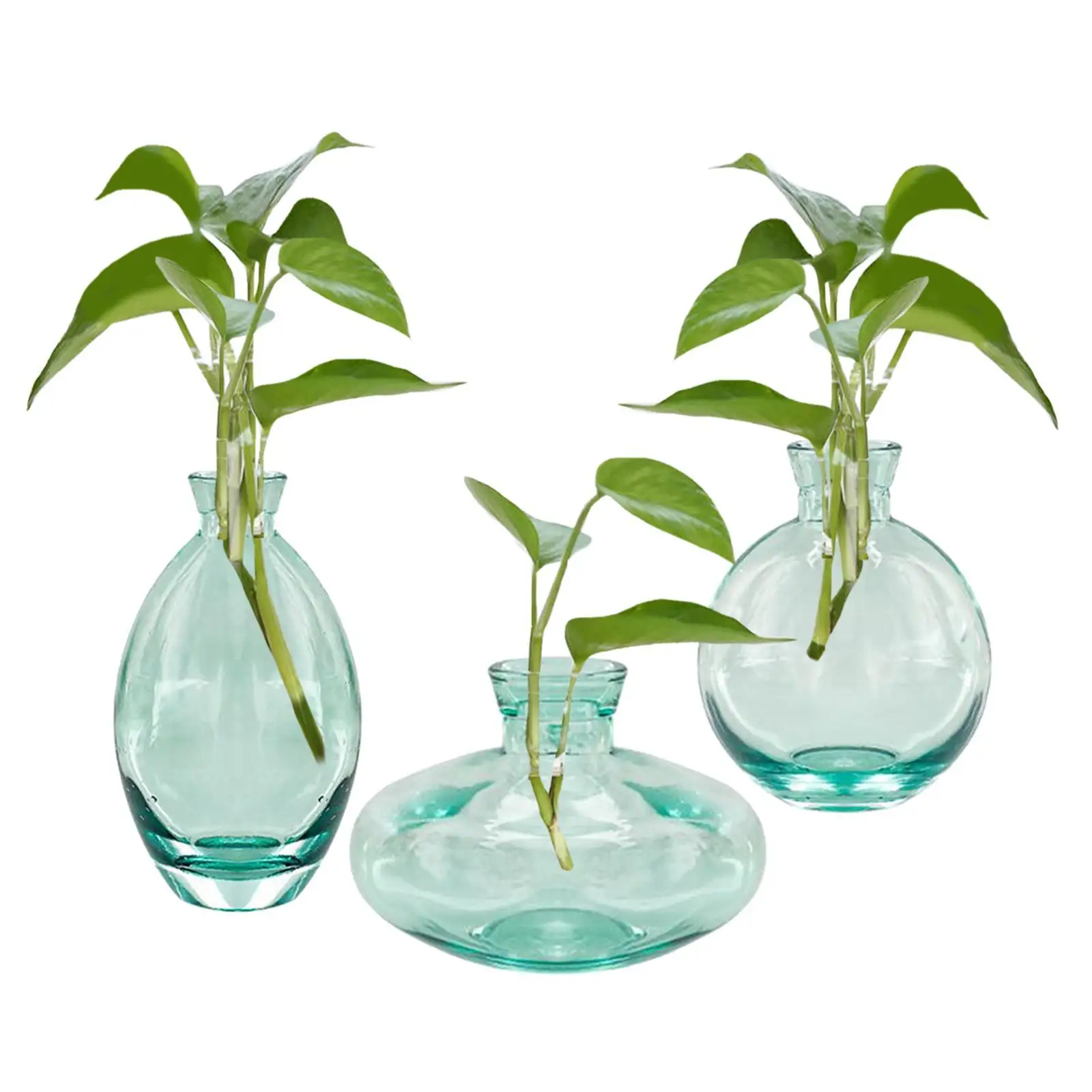 

3x Glass Vase Multiuse Sand Painting Bottles Growing Plant Vases for Mom