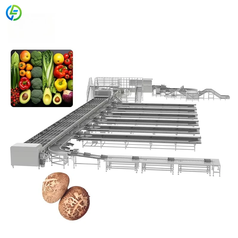 Factory Price Live Shrimp Fish Size Grader Sorting Sorter Machine And System Customized