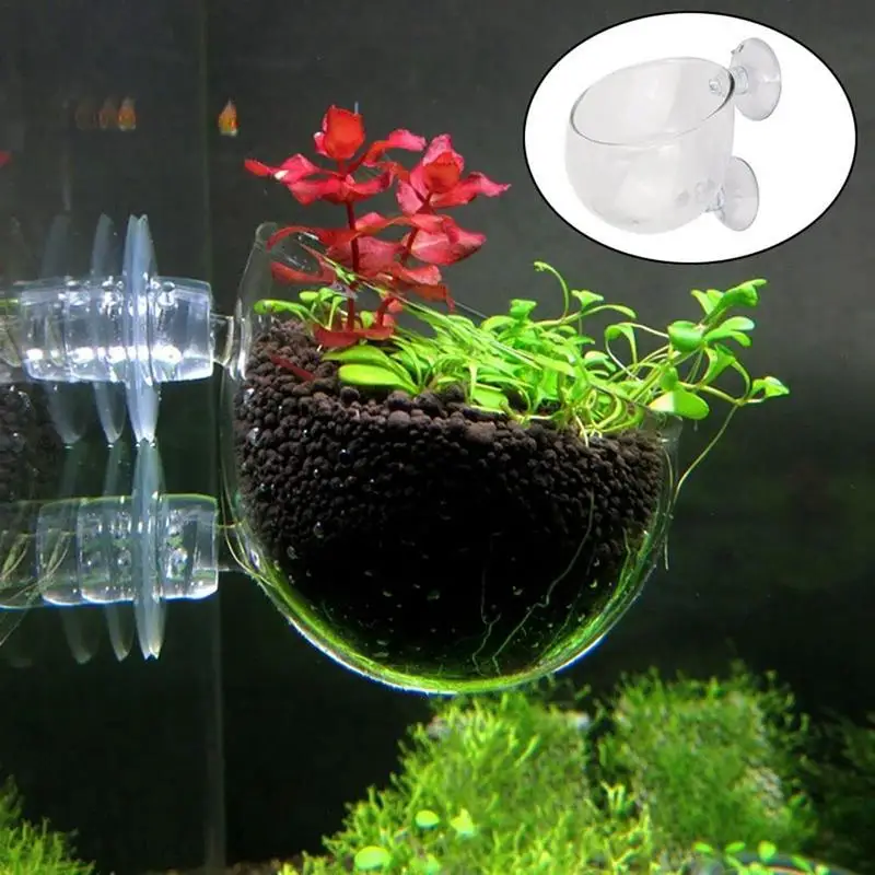 fish Waterweed nursery pot Glass Aquarium decoration Pot Polka Water potted aquatic planting cylinder cup aquarium accessories