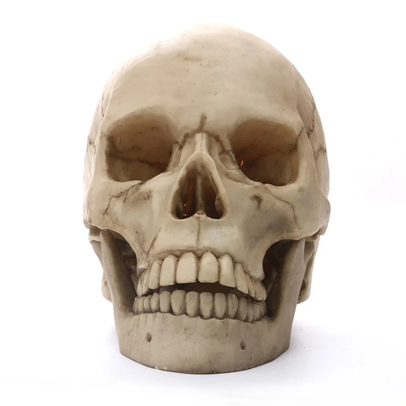 Human Skull Statue for Home Decor Resin Figurines Halloween Decor Sculpture Medical Teaching Sketch Model Crafts