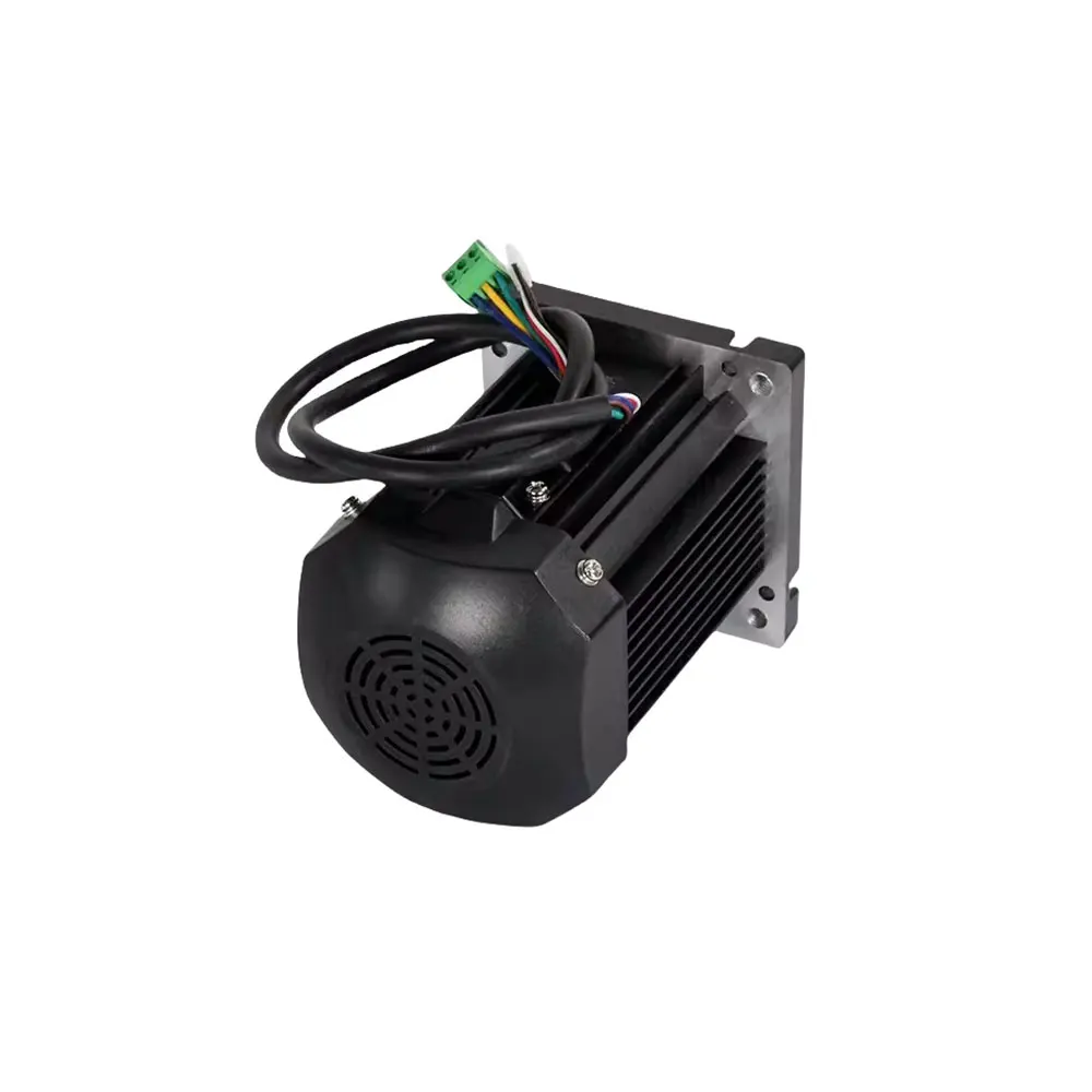 600W 750W 1100W 1500W tornio DC motore Brushless coppia elevata carico pesante regolazione continua della velocità tornio ad alta potenza fresatrice