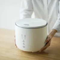 Olayks Rice Cooker 2L Capacity Ceramic Liner 8H Appointment 220V Electric Rice Cooking Pot 400W Multi Cooker Kitchen Appliances