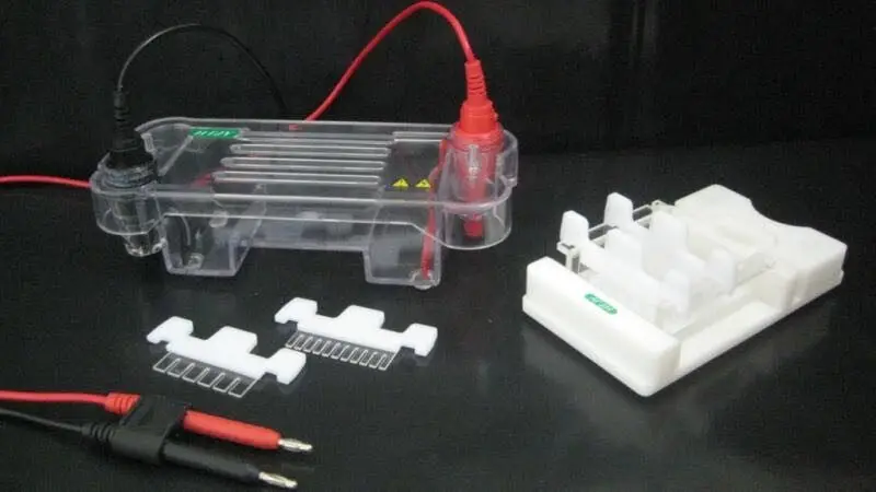 Small agarose horizontal electrophoresis tank, electrophoresis instrument