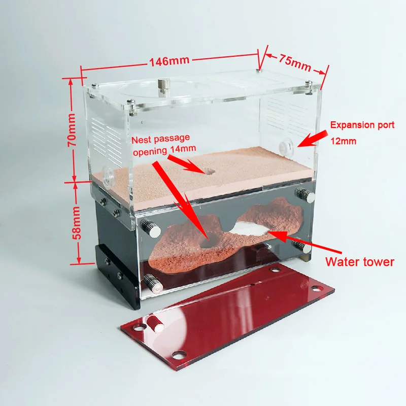 Concrete Ant Farm Acrylic Ant Nest with Hunting Area Unlimited Expansion Ant House Pet Anthill Workshop Moisturizing Insect Box