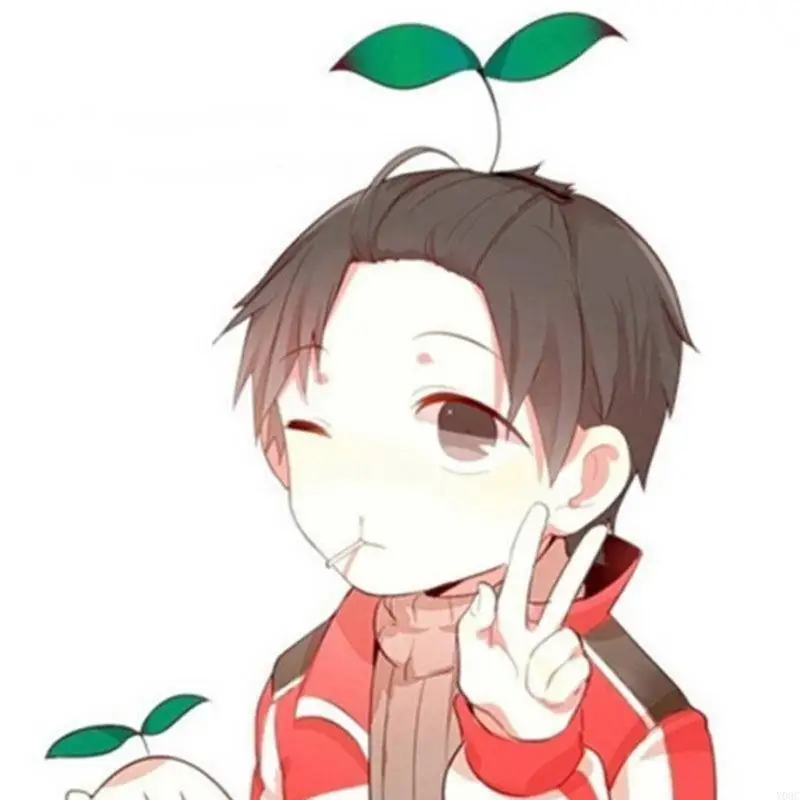 Y08C Clips canard cank